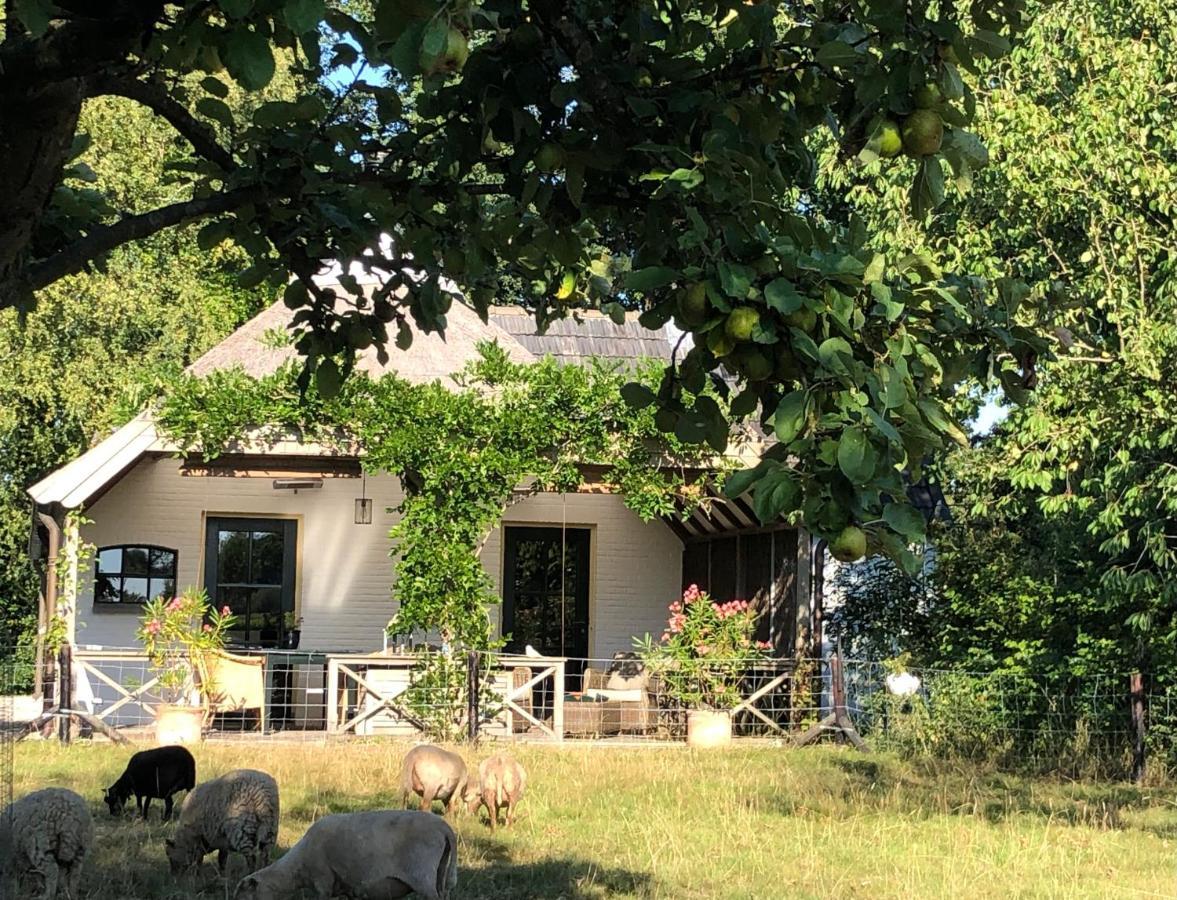 Het Buitengebied Empe Bagian luar foto