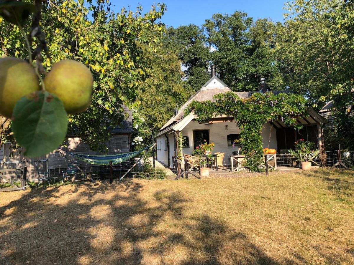 Het Buitengebied Empe Bagian luar foto